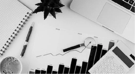 budget-analysis-100